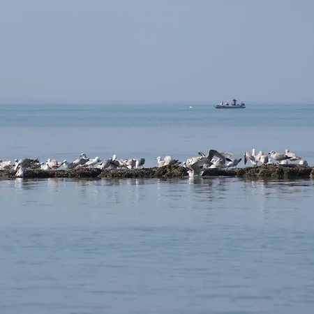 Petite Opale Ambleteuse