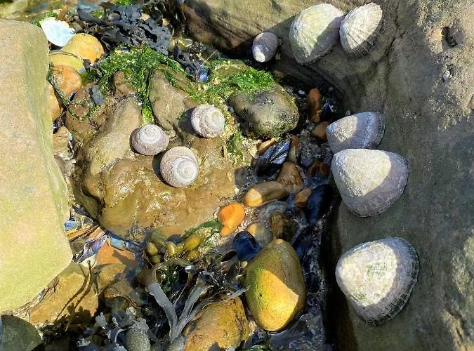 Petite Opale Vakantiehuis