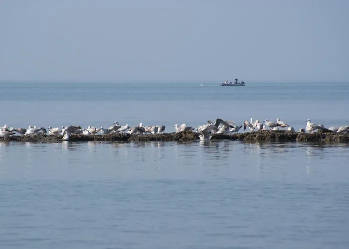 Petite Opale Ambleteuse